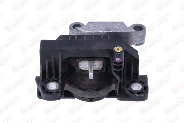 Variklio montavimas BIRTH 57108