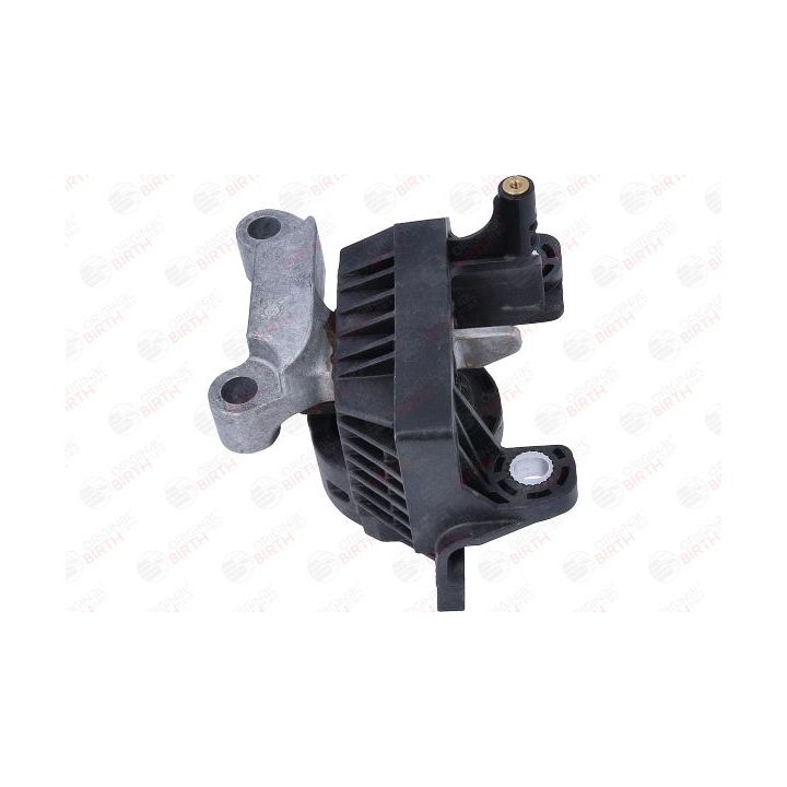 Variklio montavimas BIRTH 57108