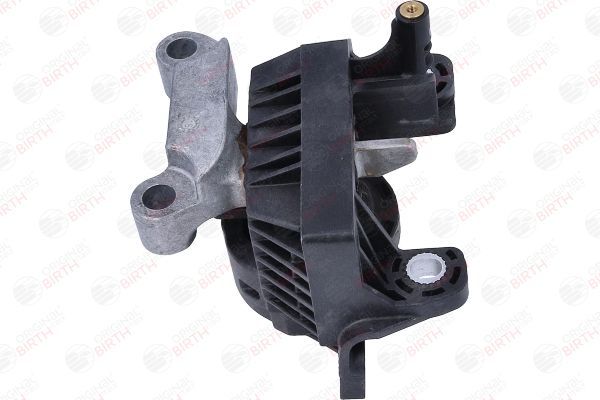 Variklio montavimas BIRTH 57108