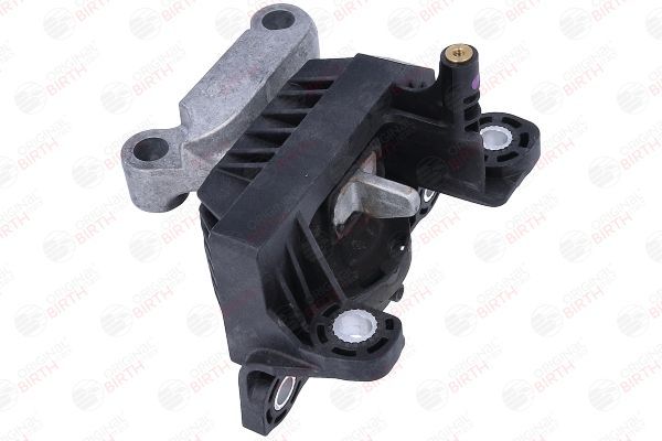 Variklio montavimas BIRTH 57108