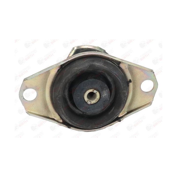 Variklio montavimas BIRTH 5714