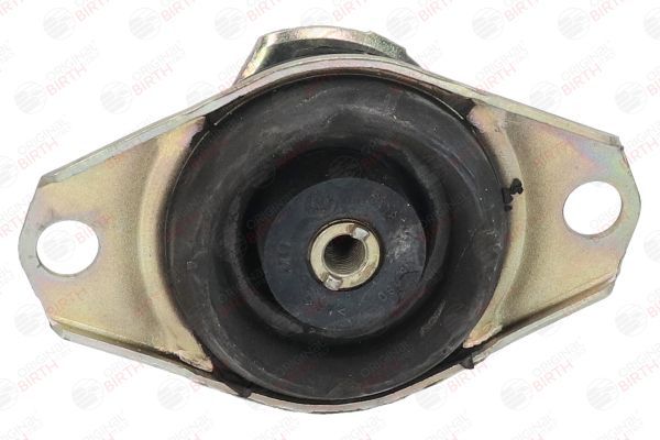 Variklio montavimas BIRTH 5714