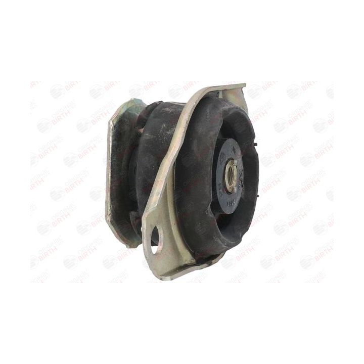 Variklio montavimas BIRTH 5714