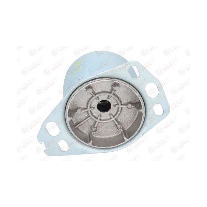 Variklio montavimas BIRTH 5716