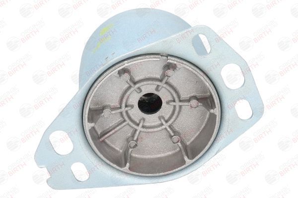 Variklio montavimas BIRTH 5716