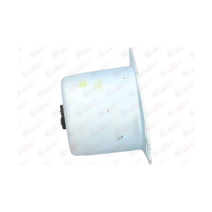 Variklio montavimas BIRTH 5716