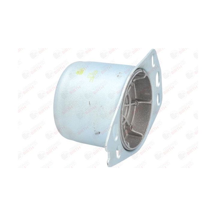 Variklio montavimas BIRTH 5716