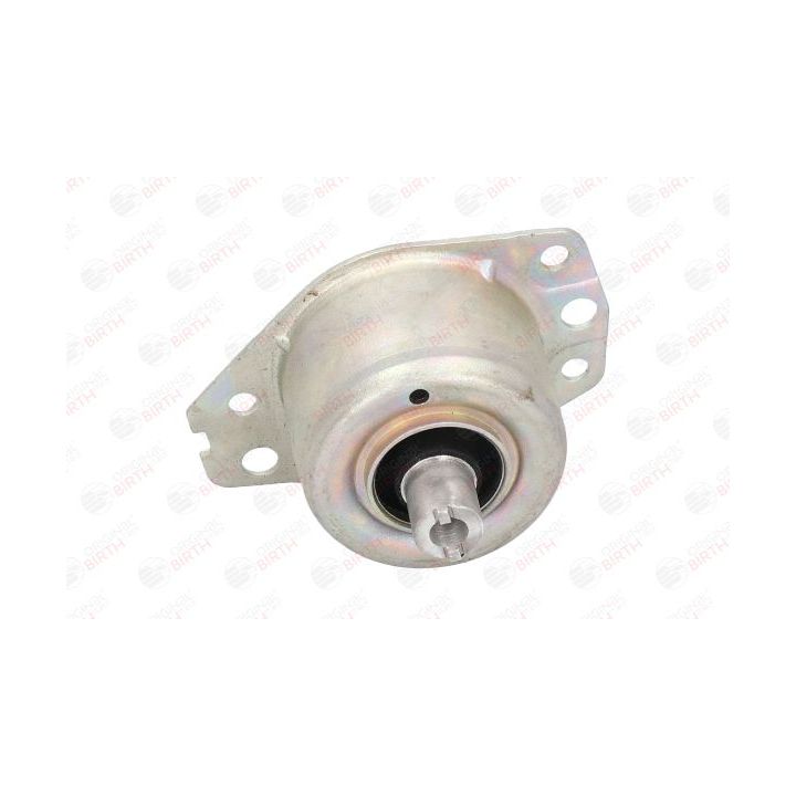 Variklio montavimas BIRTH 5720