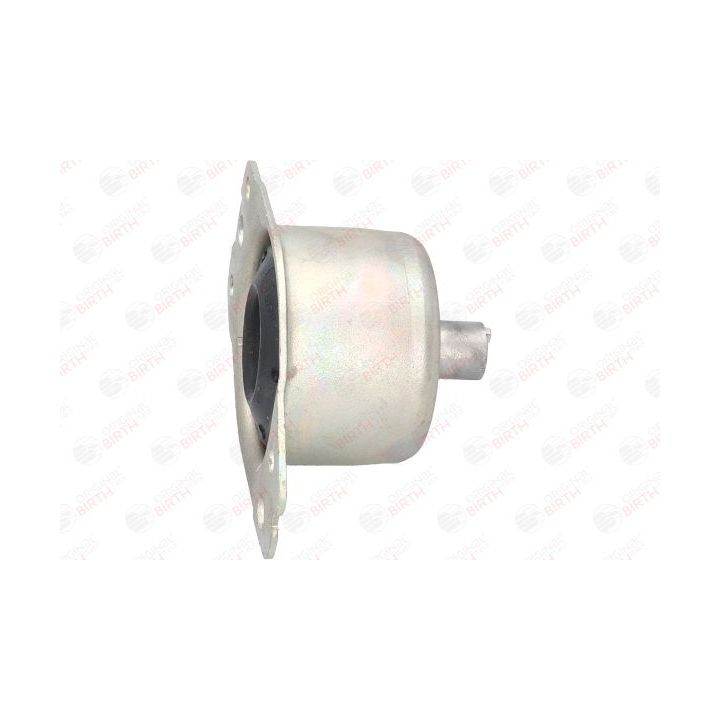 Variklio montavimas BIRTH 5720