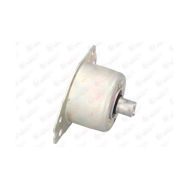 Variklio montavimas BIRTH 5720