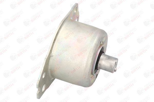 Variklio montavimas BIRTH 5720