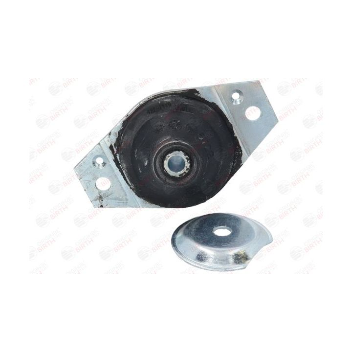 Variklio montavimas BIRTH 5722