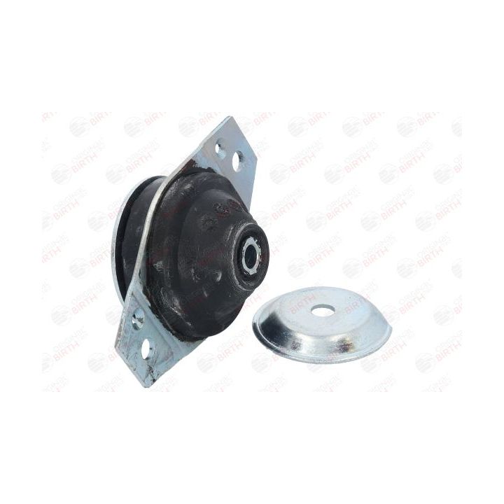 Variklio montavimas BIRTH 5722