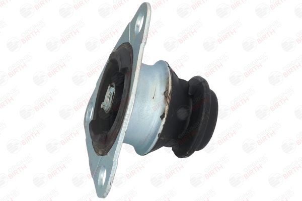 Variklio montavimas BIRTH 5723