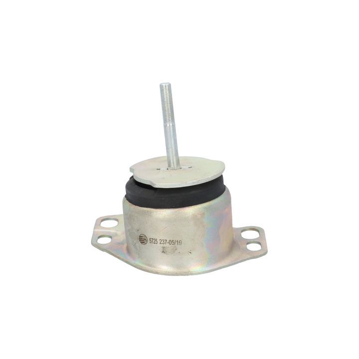 Variklio montavimas BIRTH 5725