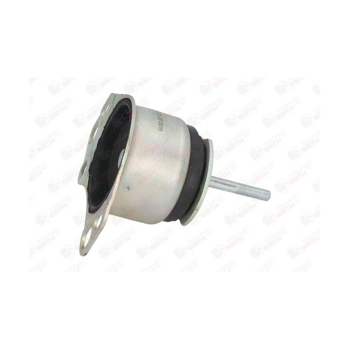 Variklio montavimas BIRTH 5725