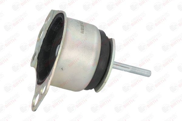 Variklio montavimas BIRTH 5725