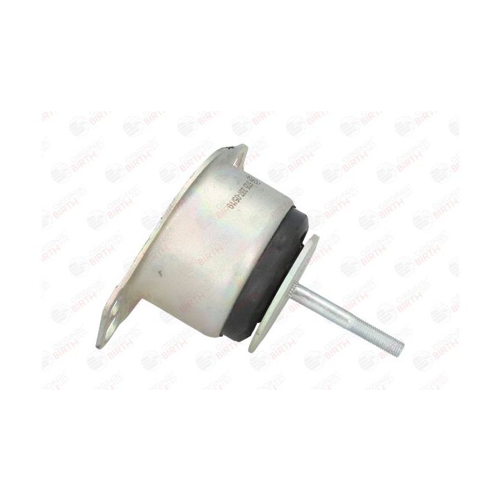 Variklio montavimas BIRTH 5725