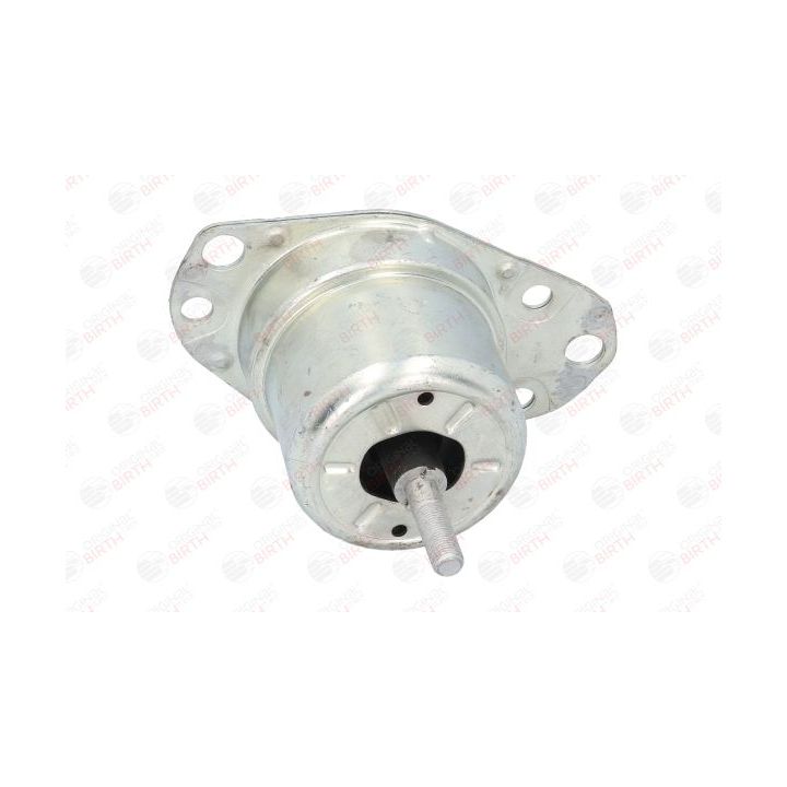 Variklio montavimas BIRTH 5727