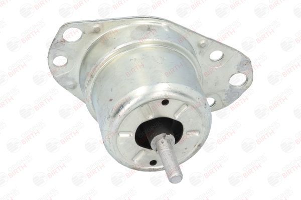 Variklio montavimas BIRTH 5727