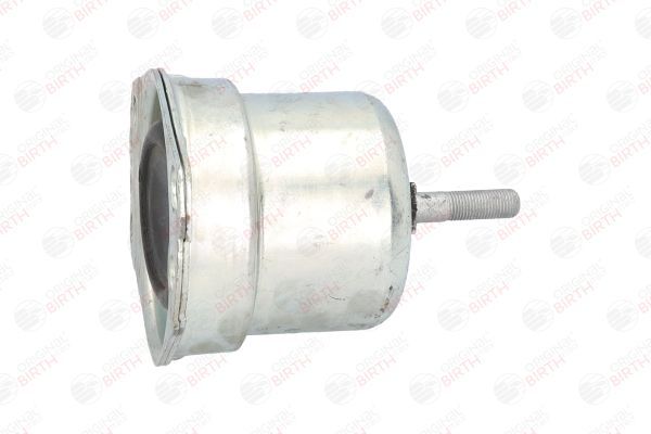 Variklio montavimas BIRTH 5727