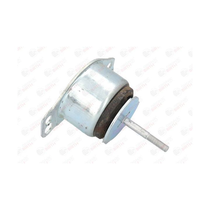 Variklio montavimas BIRTH 5728