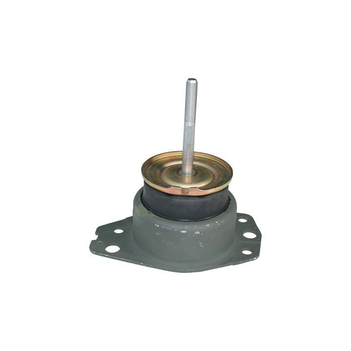 Variklio montavimas BIRTH 5735