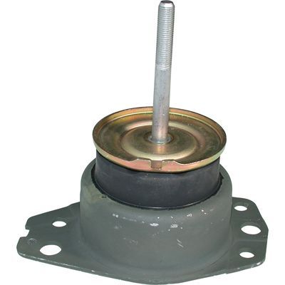 Variklio montavimas BIRTH 5735