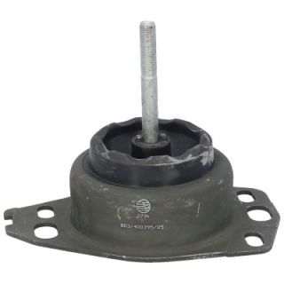 Variklio montavimas BIRTH 5736