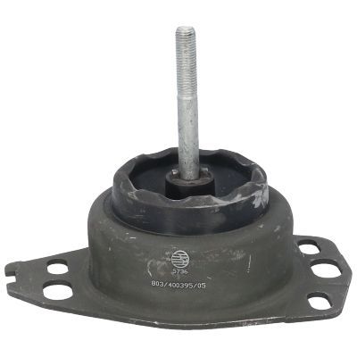 Variklio montavimas BIRTH 5736