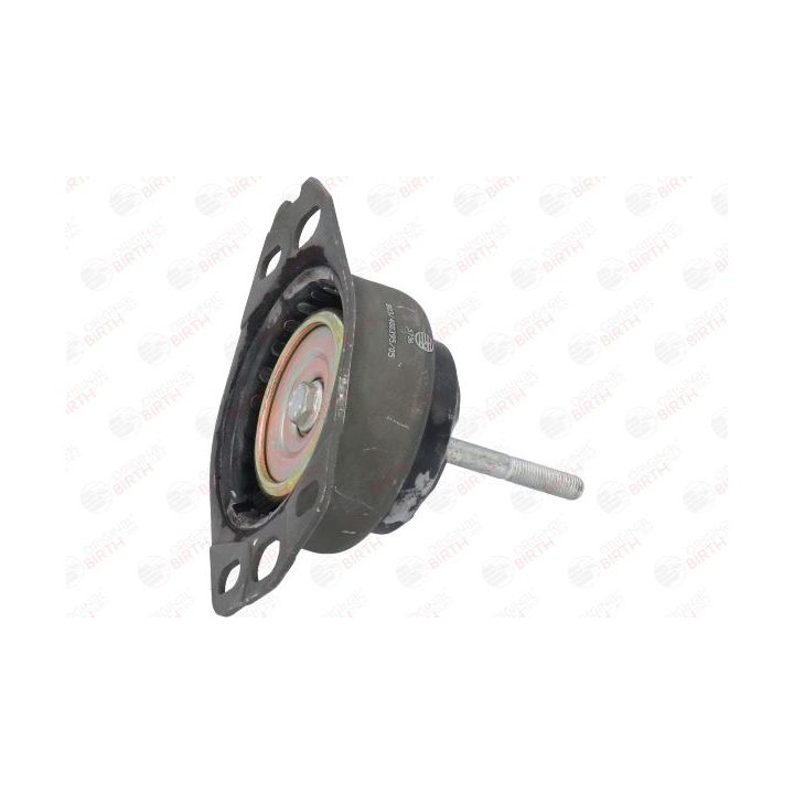 Variklio montavimas BIRTH 5736