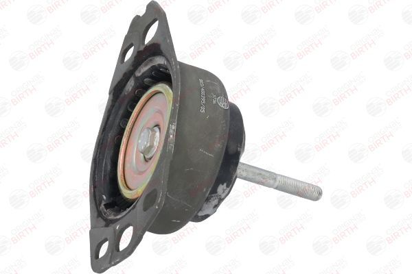 Variklio montavimas BIRTH 5736