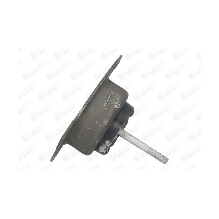 Variklio montavimas BIRTH 5736