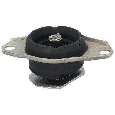 Variklio montavimas BIRTH 5737