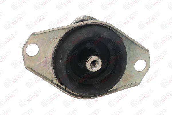 Variklio montavimas BIRTH 5737