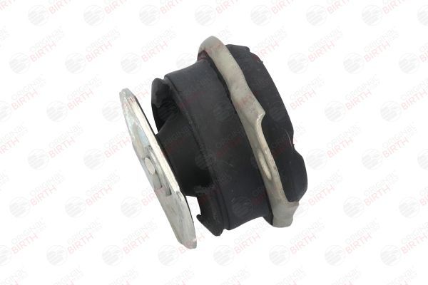 Variklio montavimas BIRTH 5737