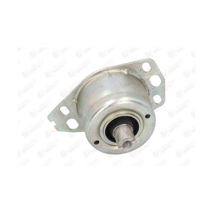 Variklio montavimas BIRTH 5739