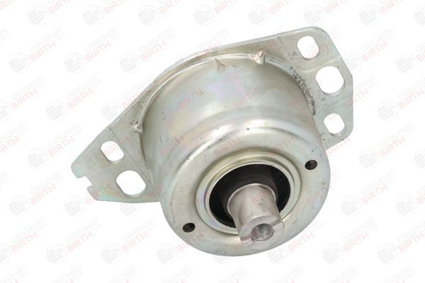 Variklio montavimas BIRTH 5739