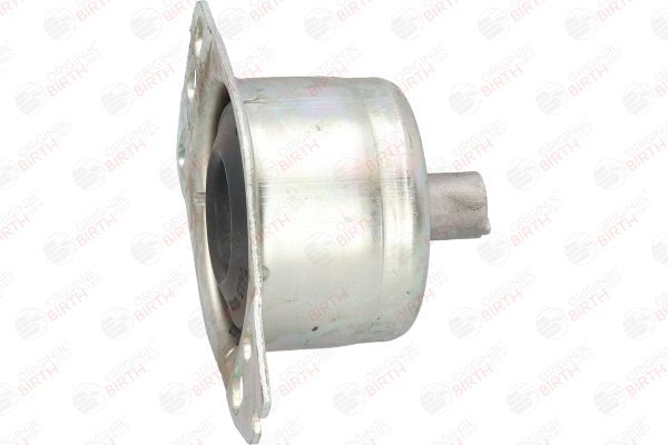 Variklio montavimas BIRTH 5739