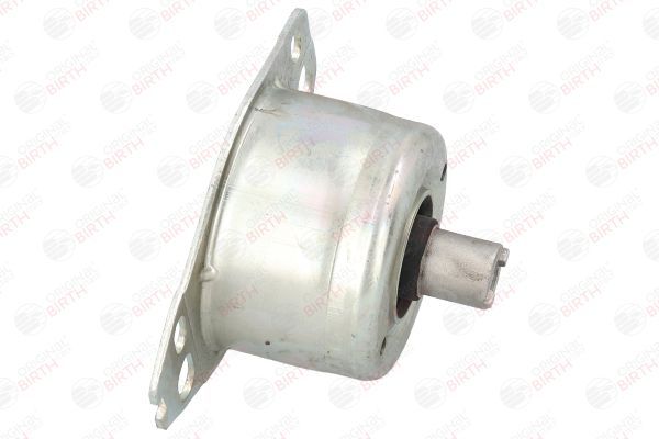 Variklio montavimas BIRTH 5739