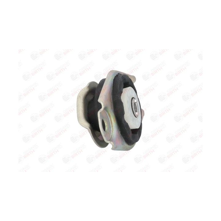 Variklio montavimas BIRTH 5743