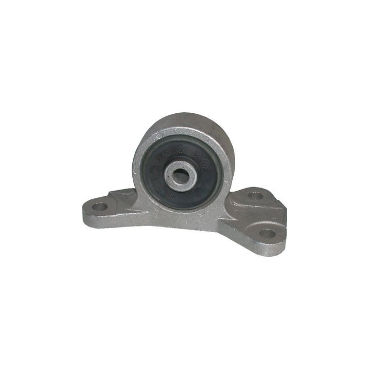 Variklio montavimas BIRTH 5809