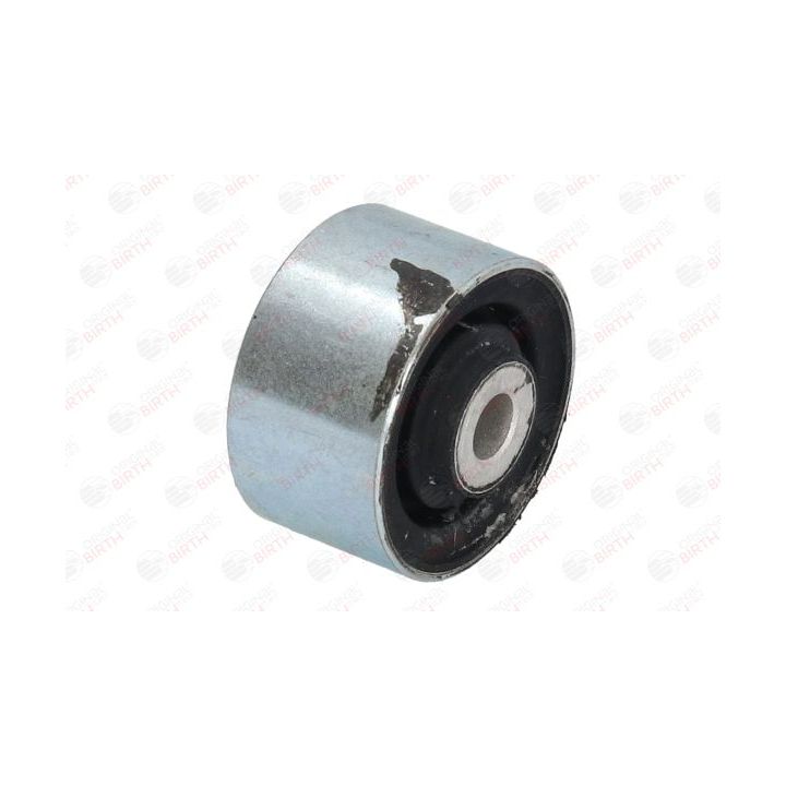 Variklio montavimas BIRTH 5815