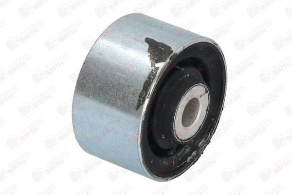 Variklio montavimas BIRTH 5815