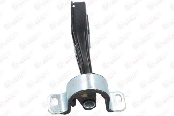 Variklio montavimas BIRTH 5822