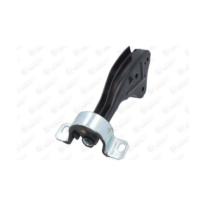 Variklio montavimas BIRTH 5822