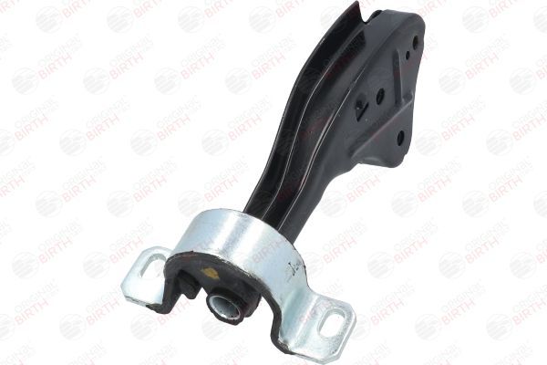 Variklio montavimas BIRTH 5822