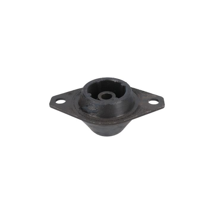 Variklio montavimas BIRTH 5824