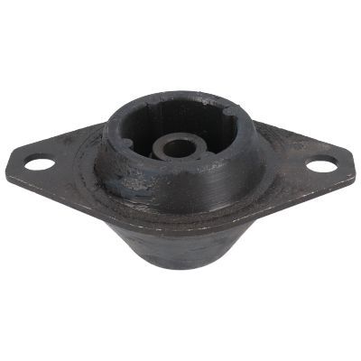 Variklio montavimas BIRTH 5824