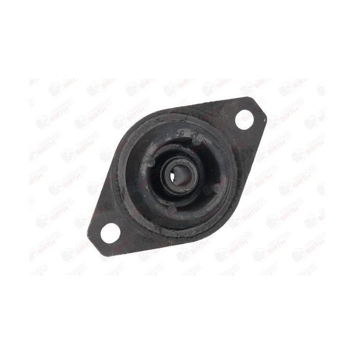 Variklio montavimas BIRTH 5824